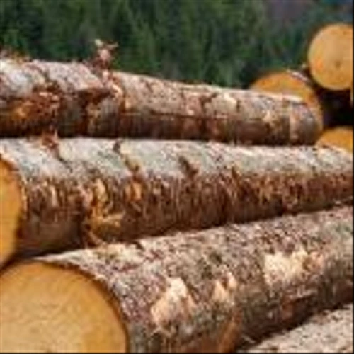 Investors Should Be Encouraged By Louisiana-Pacific's (NYSE:LPX) Returns On Capital