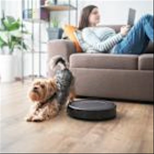 Why iRobot Stock Is Crashing Today