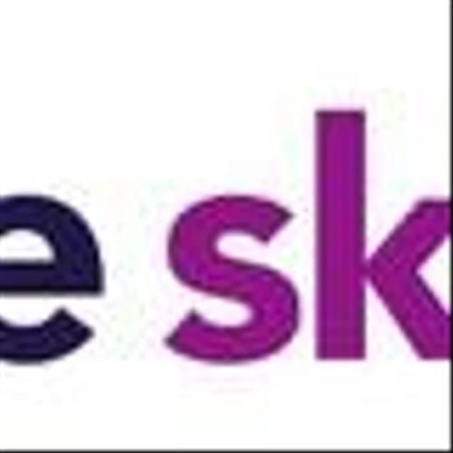 Leidos and Sky Solutions launch Purple Sky joint venture to accelerate federal digital transformation