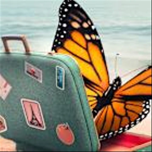 Timeshares Have Made a Comeback. Can Their Stocks?