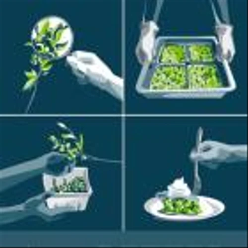 United Natural Foods Releases Better for All Environmental, Social, and Governance Report for Fiscal Year 2023