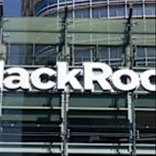 BlackRock loses $500m on shadow banking blow-up