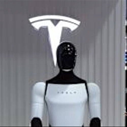 Nvidia and Tesla are the 'best physical AI plays in the world'