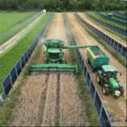 Next2Sun and iSun Build First Vertical Agrivoltaics System in the USA