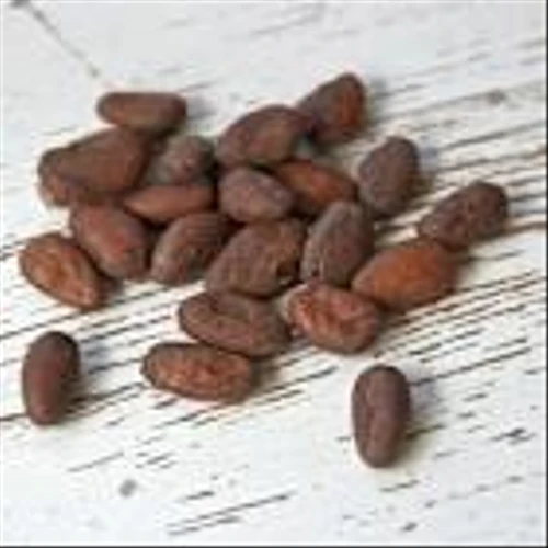 NY Cocoa Prices Rebound as Nigerian Cocoa Exports Fall