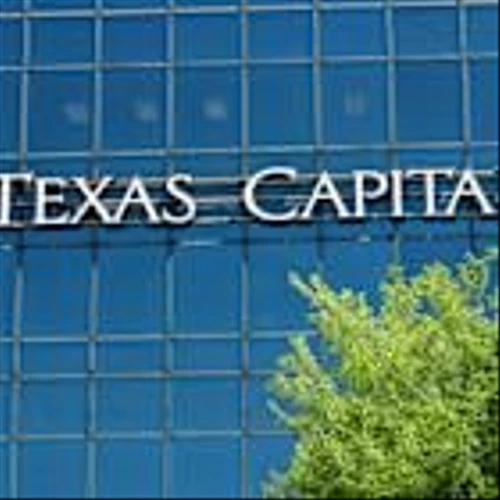 Money Talks: Texas Capital Bank on How to Deploy Capital Amid Shrinkage