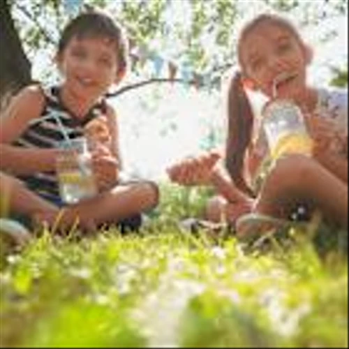 Time to Buy the Dip on Lemonade Stock?