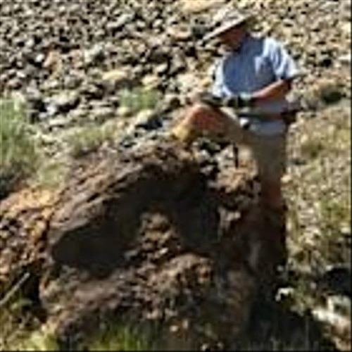 Black Mammoth Metals Strengthens its Technical Team by Appointment of Senior Geologist Thomas G. Klein