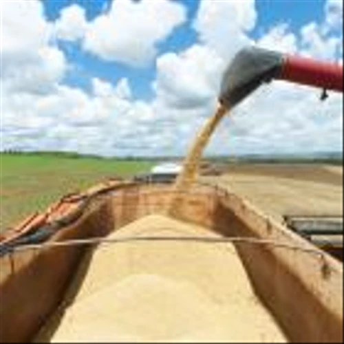 A Tariff War With China Might Be Good News for Brazil’s Crops
