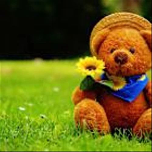 Build-A-Bear Workshop, Inc. (BBW) Lifts Guidance After 11.5% Revenue Surge in Q2