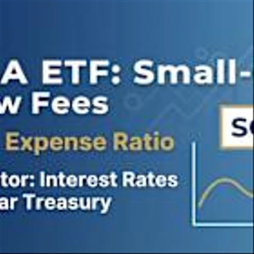 Small Cap Investors Should Watch This One Number Before Buying SCHA Right Now