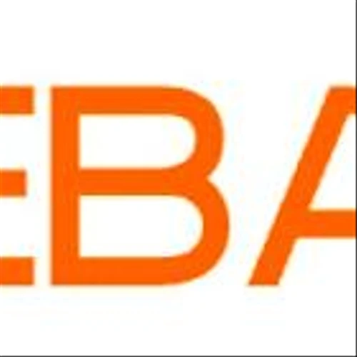 Ebang International Reports Financial Results for Fiscal Year 2024
