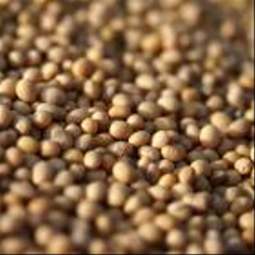 Bunge Sees Profits Shrinking as Trade War Adds Uncertainty