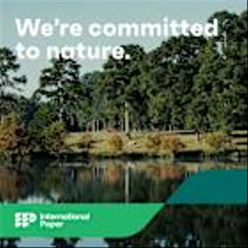 International Paper Releases Inaugural TNFD Report, Advancing Global Leadership in Sustainability and Nature Transparency