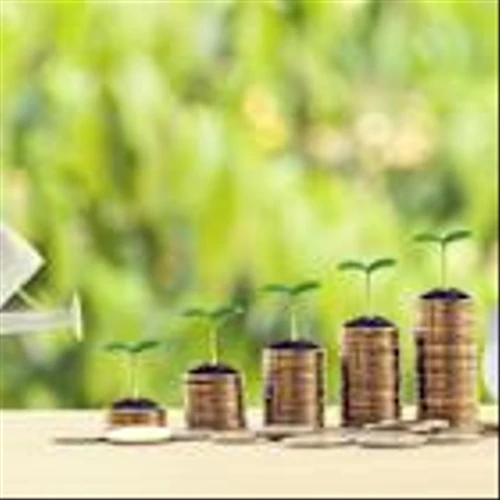 3 Dividend Stocks to Double Up on Right Now