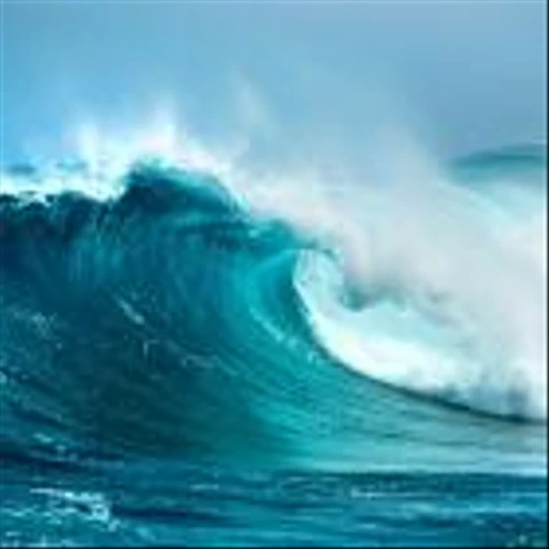 Wave’s stock swells as it eyes approval following Phase II DMD victory