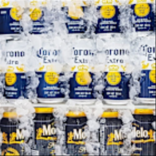 Constellation Brands sets outs changes to DEI initiatives