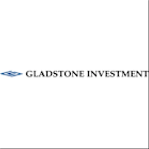 Gladstone Investment Corporation Prices Offering of 6.875% Notes due 2028