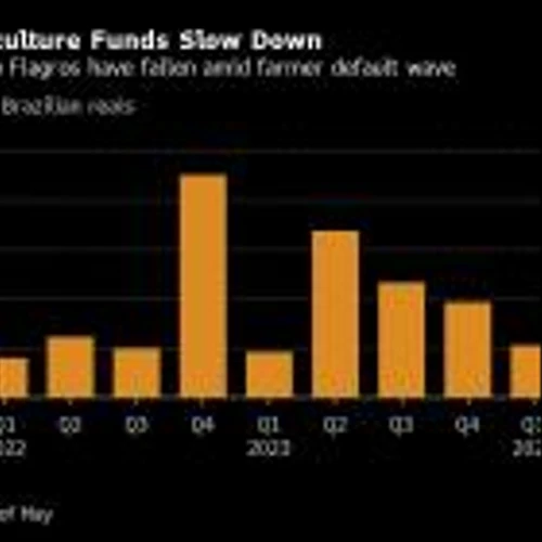 ‘Farmpalooza’ Aims to Renew Allure of Brazil Agriculture Funding