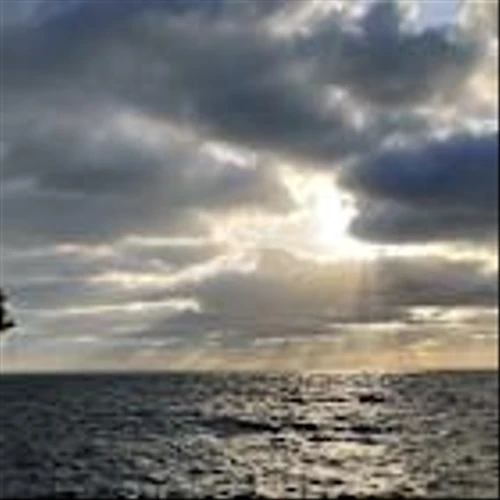 Petrobras Moves to Buy Petronas Stake in Campos Basin Offshore Fields