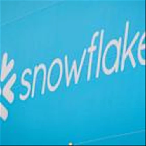 Snowflake CEO: Software companies will be profoundly impacted by AI