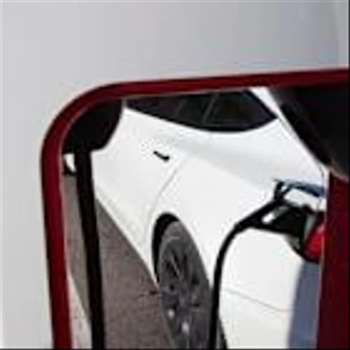 Tesla Sales Plummet. The Stock Rises Despite a Global Headache.