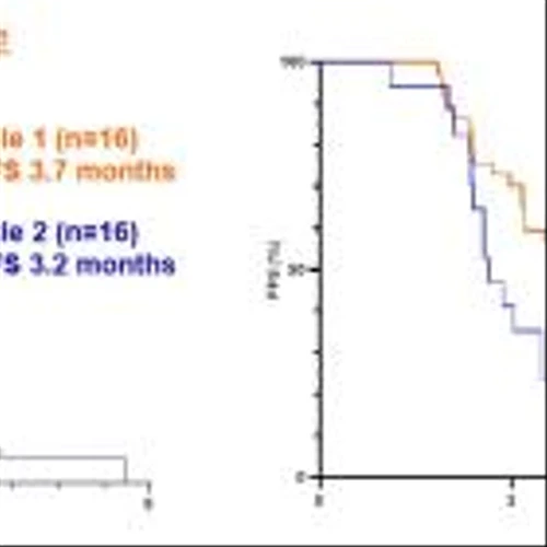 BriaCell Presents Clinical Efficacy Data at ASCO 2024