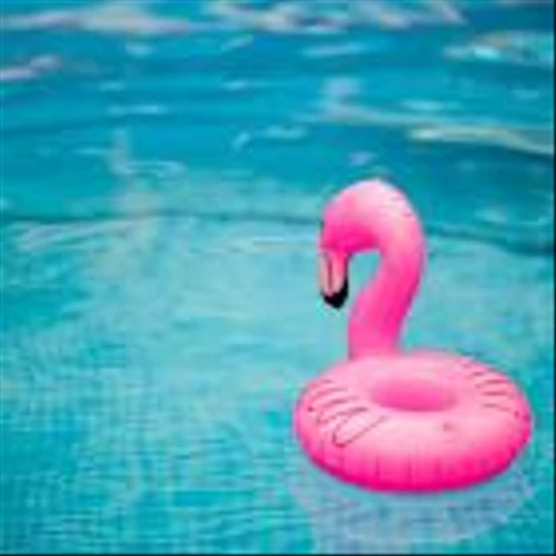 Pool Corporation (POOL) Set for Gains as Market Recovers, Says Baird