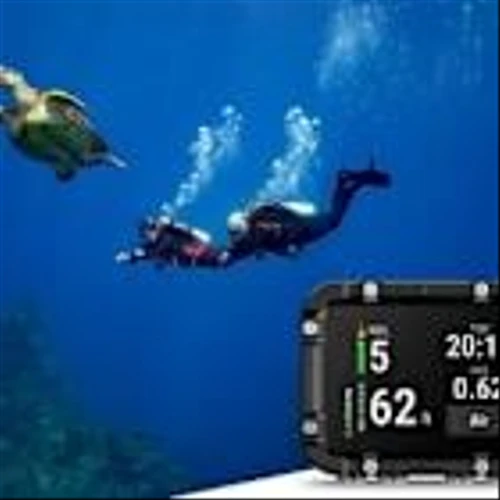 See essential dive data at a glance with the Descent X30 large-format dive computer from Garmin