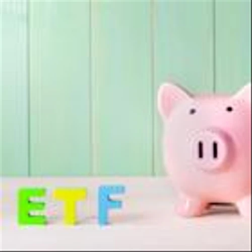 Is The Vanguard Total Stock Market Index Fund a Buy?