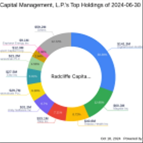 Radcliffe Capital Management L.P. Acquires New Stake in New Mountain Finance Corp