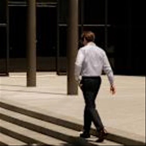 America’s New Normal for White-Collar Jobs