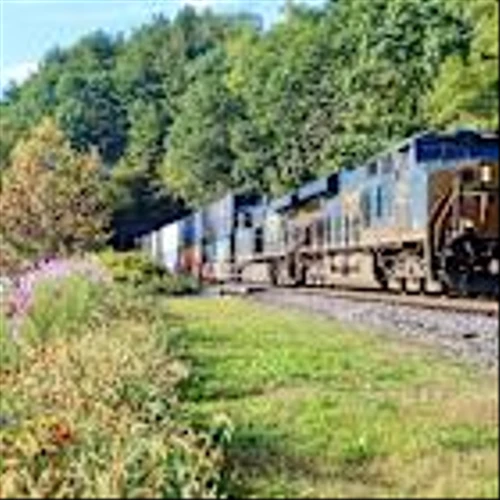 CSX CEO: Obsession with profit margins stunting railroads’ growth