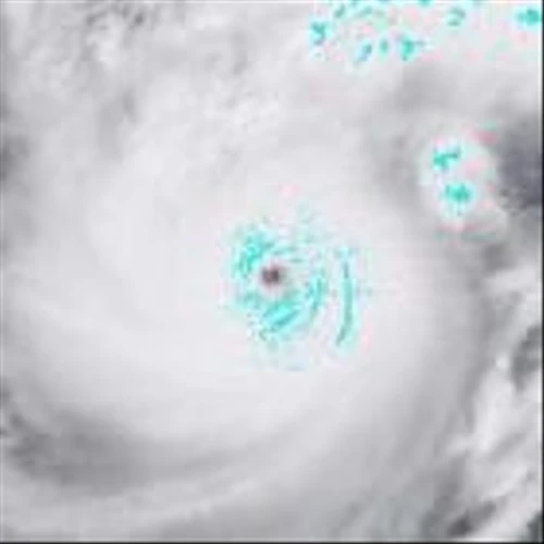 Biden begs Florida residents to flee as Milton returns to Category 5