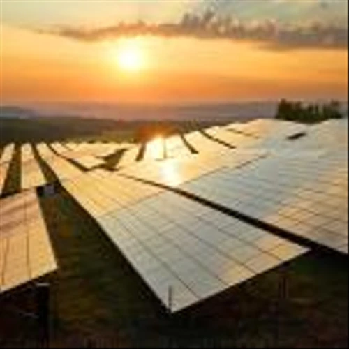 Solar Stocks Dive After Trump Orders End To Green Energy Subsidies