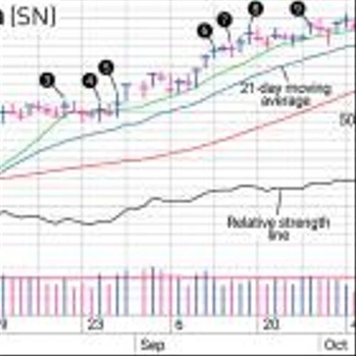 SharkNinja Stock: A Swing Trade Worth Holding