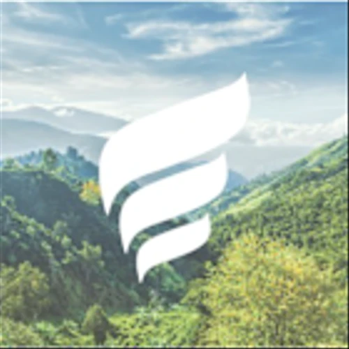 New Fortress Energy Inc (NFE) Q4 2024 Earnings Call Highlights: Strong EBITDA Growth Amid ...