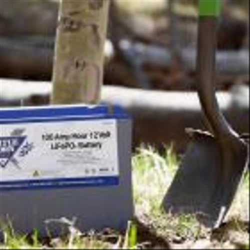 Dragonfly Energy Partners with the National Forest Foundation to Plant Trees in Honor of Earth Day