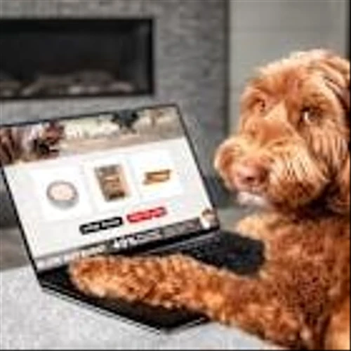 Chewy Shares Climb on Upbeat Outlook, but It's Not Too Late to Buy the Stock