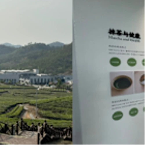 Reborn China Secures Strategic Matcha Supply Partnership to Expand Distribution Across Asia and the UAE