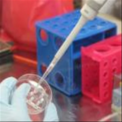 Gilead Sciences (NasdaqGS:GILD) Partners With Global Fund To Supply HIV Prevention Drug
