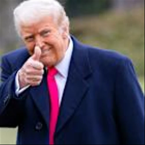 Donald Trump's July 4 Wish For UFC At White House Comes True: 'Fight Is On'