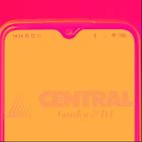 CENT Q1 Earnings Call: Margin Expansion and Cost Discipline Offset Revenue Decline