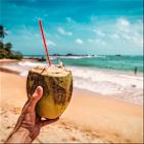 Monster Beverage Was a 2,000-Bagger Between 1994 and 2024. Could This Coconut Water Leader Be Next?