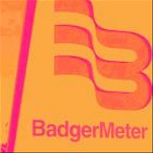 Why Badger Meter (BMI) Stock Is Up Today