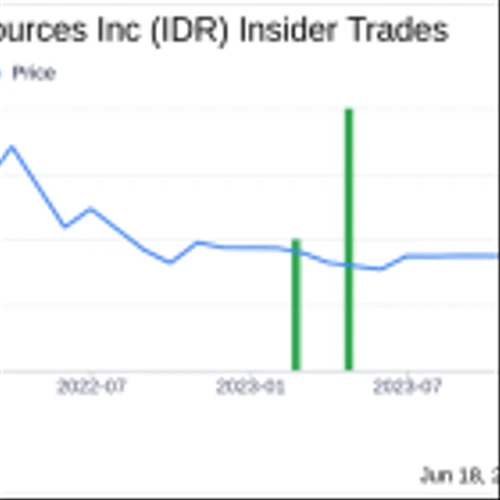 Insider Sale: Vice President Grant Brackebusch Sells Shares of Idaho Strategic Resources Inc (IDR)