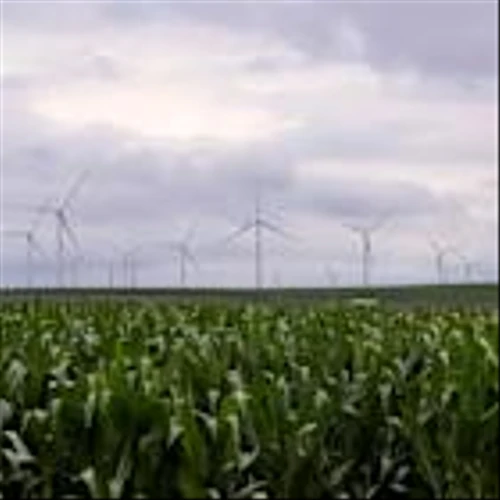 Trump’s big bill is ‘tough but constructive’ for renewables: NextEra