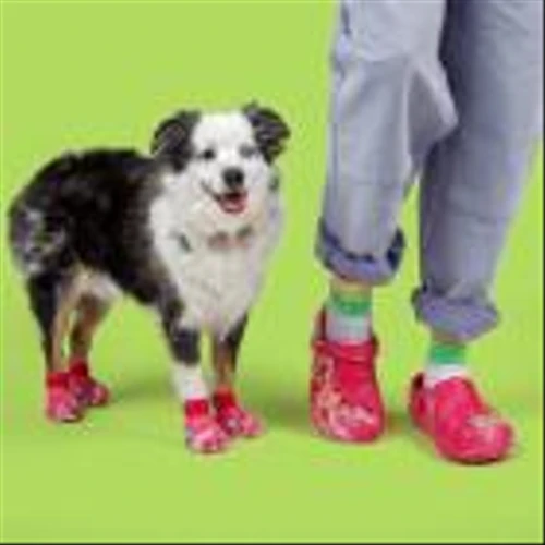 From Pet Crocs to a Life-Sized Crocs Costume, Croctober Makes Fans' Wildest Dreams a Reality