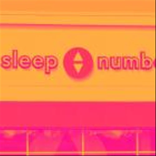 Q4 Earnings Highs And Lows: Sleep Number (NASDAQ:SNBR) Vs The Rest Of The Home Furniture Retailer Stocks