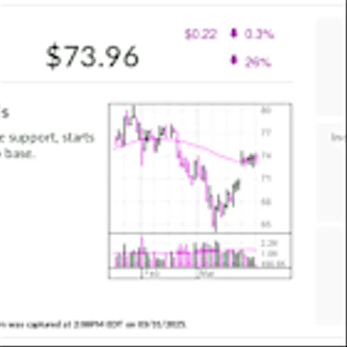 Protein Shake Maker, IBD Stock Of The Day, Flexes Muscles As Morgan Stanley Names It Top Pick